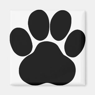 Panda feet design magnet