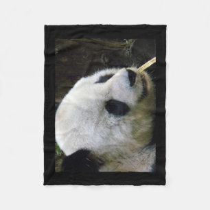 Panda Fleece Blanket
