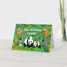 Panda & Friends in the Bamboo Forest