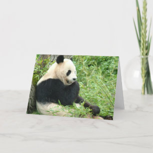 Panda Greeting Card