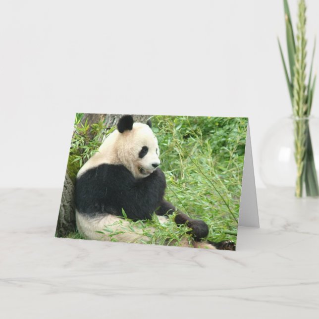 Panda Greeting Card (Front)