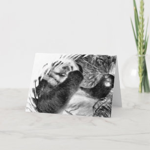 Panda Hug B&W Greeting Card