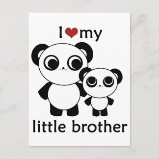 Panda - I love my little brother Postcard