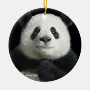 Panda image for Circle-Ornament Ceramic Tree Decoration
