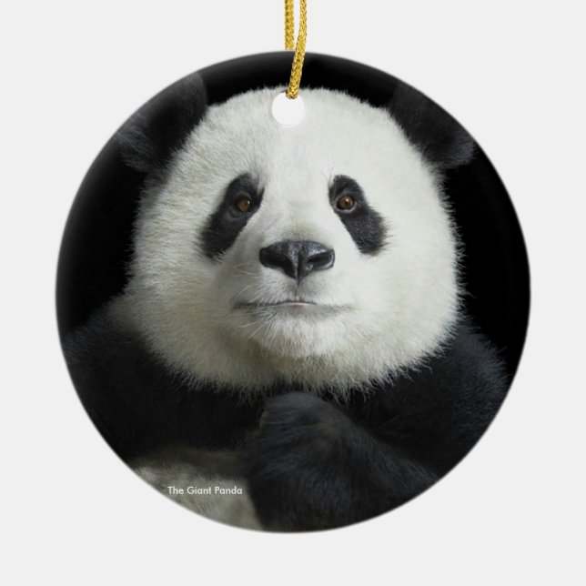 Panda image for Circle-Ornament Ceramic Tree Decoration (Front)
