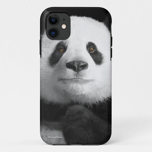 Panda image for iPhone-5-5S-Barely-There Case-Mate iPhone Case (Back)