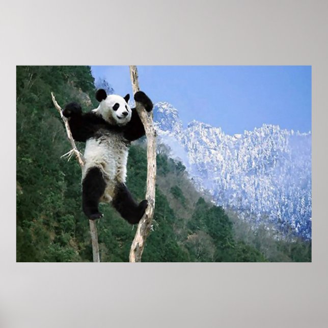 Panda In a tree poster (Front)