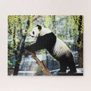 Panda Jigsaw Puzzle