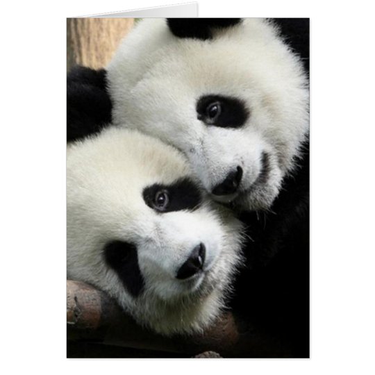 Panda Love Valentine's Day Card