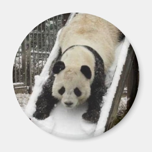 panda magnet (Front)