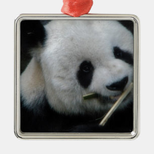 Panda Metal Tree Decoration