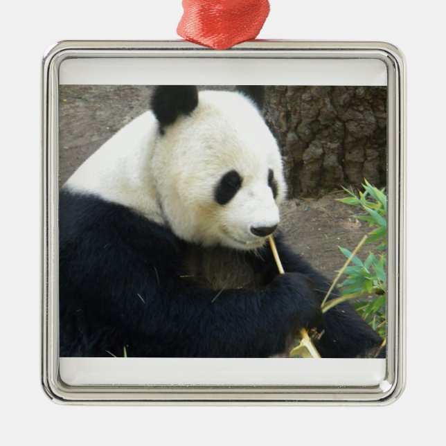 Panda Metal Tree Decoration (Front)
