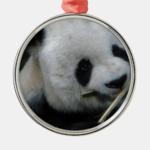 Panda Metal Tree Decoration