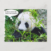 Panda Modern Quote Animal Template Trendy