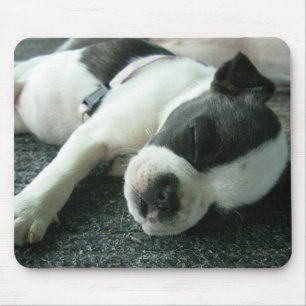panda mouse mat