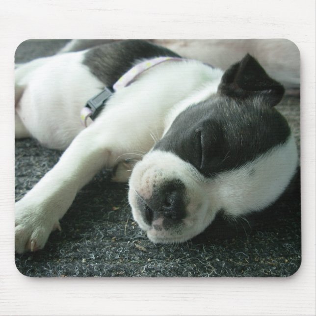 panda mouse mat (Front)