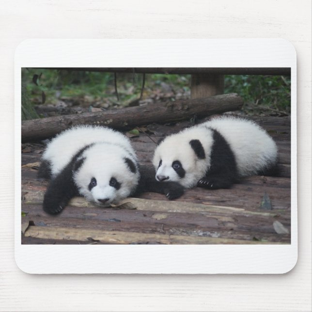 Panda Mouse Mat (Front)