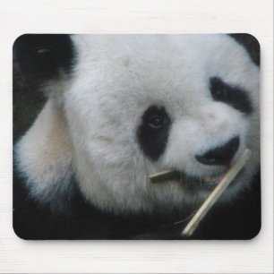 Panda Mouse Mat