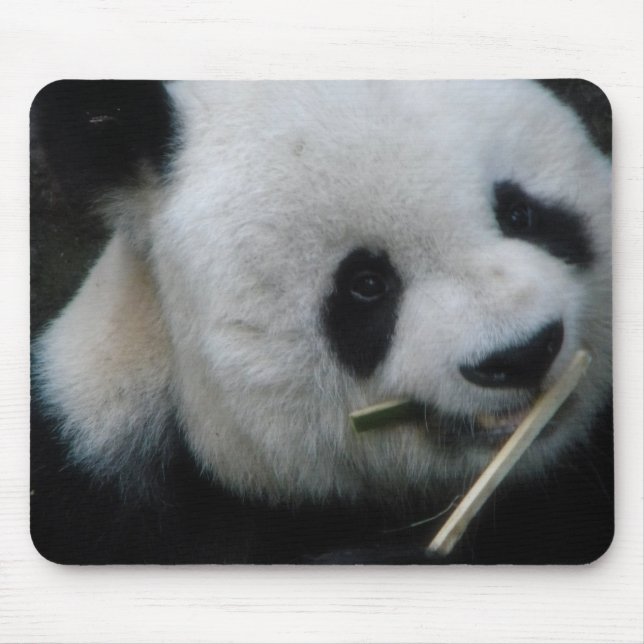 Panda Mouse Mat (Front)