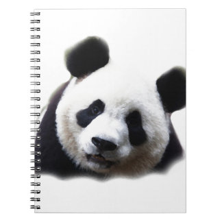 Panda Notebook