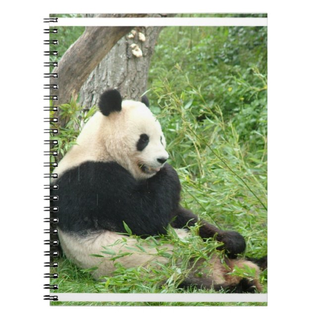 Panda  Notebook (Front)