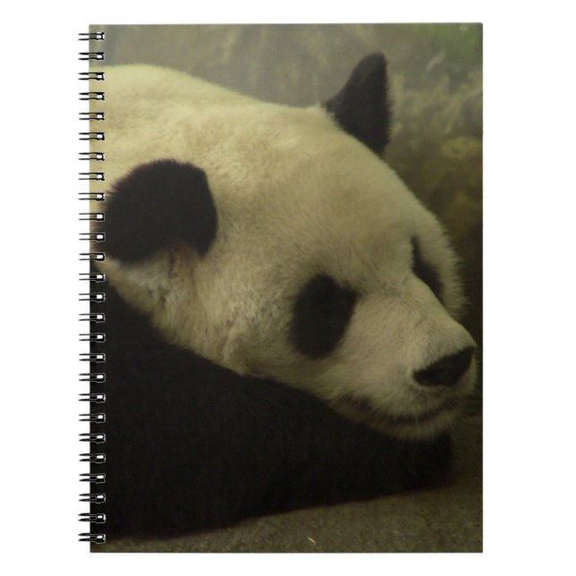 Panda Notebook (Front)