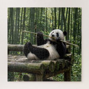 Panda on a Log Platform Jigsaw Puzzle