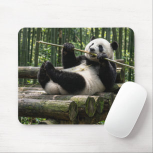 Panda on a Log Platform Mouse Mat