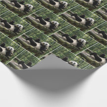 Panda on a Log Platform