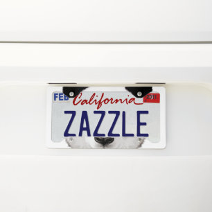 Panda Panda Licence Plate Frame