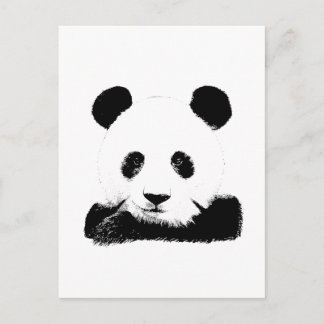 Panda Peeks Out Postcard