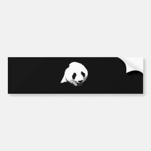 Panda Pop Art Bumper Sticker