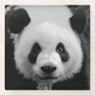 Panda Pop Art Glass Coaster