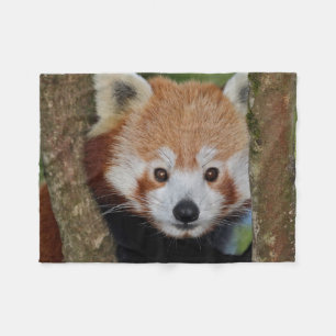 Panda Portrait Fleece Blanket