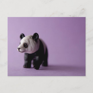 Panda Postcard