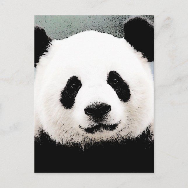 Panda Postcard (Front)