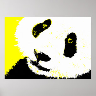 panda. poster