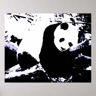 Panda Posters Prints - Panda Sleeping Poster