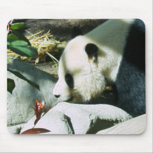 panda profile mouse mat