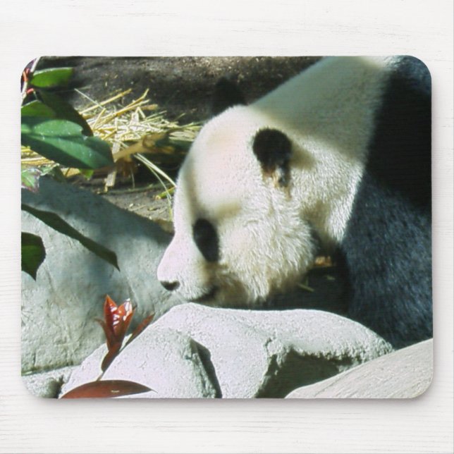 panda profile mouse mat (Front)