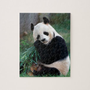 Panda Puzzle