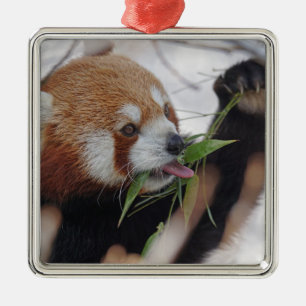 panda red animal print cute metal tree decoration