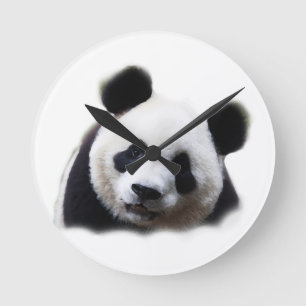 Panda Round Clock