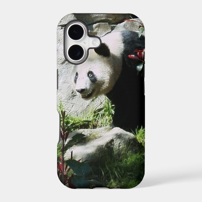 Panda Smile (Back)