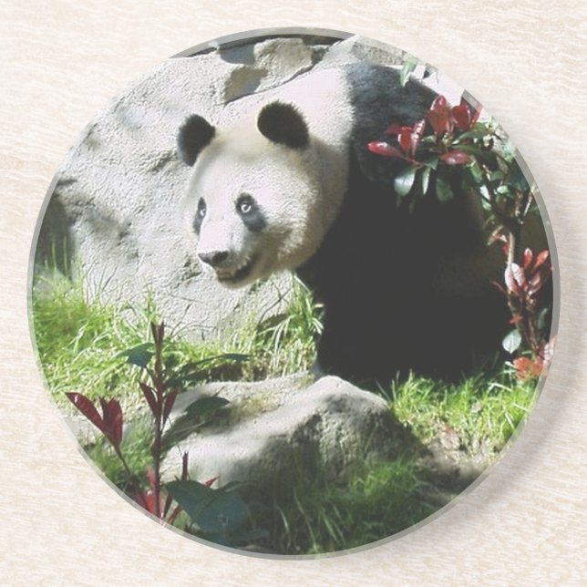 Panda Smile Coaster (Front)