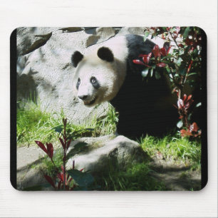Panda Smile Mouse Mat