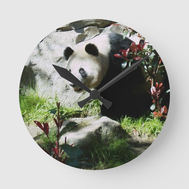 Panda Smile Wall Clock (Front)