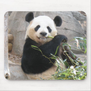 Panda Snack Mouse Mat