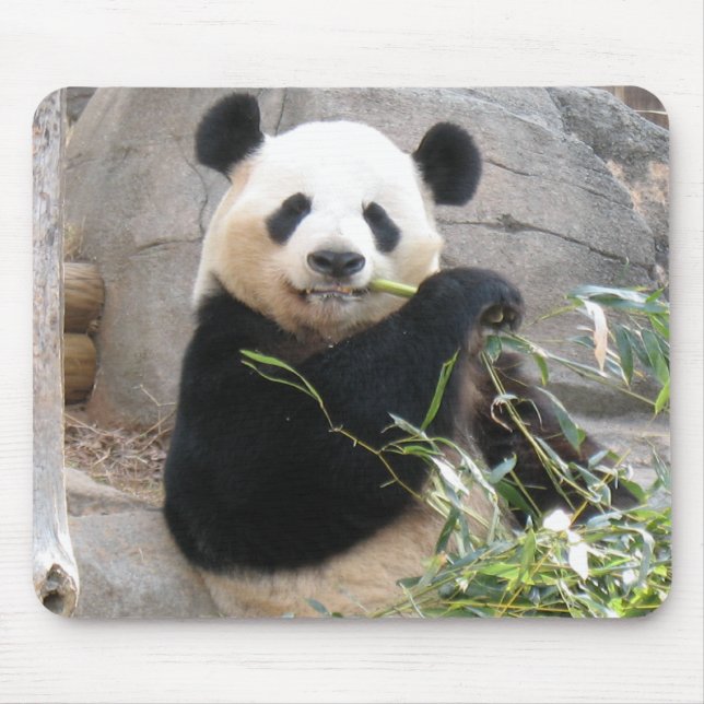 Panda Snack Mouse Mat (Front)