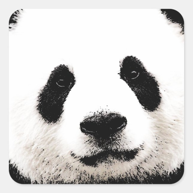 Panda Square Sticker (Front)
